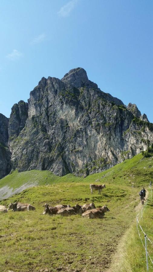 Ferienwohnung Cai Pfronten Bagian luar foto